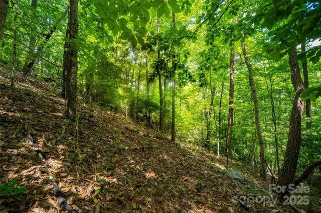 $59,999 | 0 Foster Hill Drive, Unit 3, Hendersonville, NC 28739