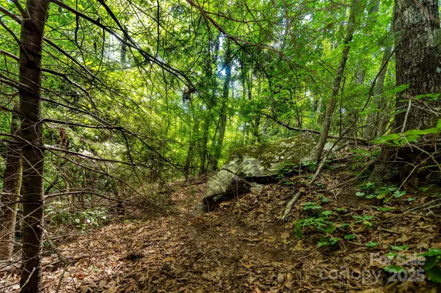 $59,999 | 0 Foster Hill Drive, Unit 3, Hendersonville, NC 28739