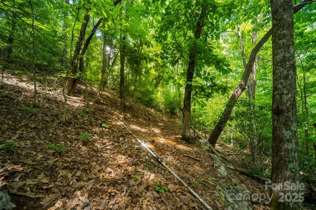 $59,999 | 0 Foster Hill Drive, Unit 3, Hendersonville, NC 28739