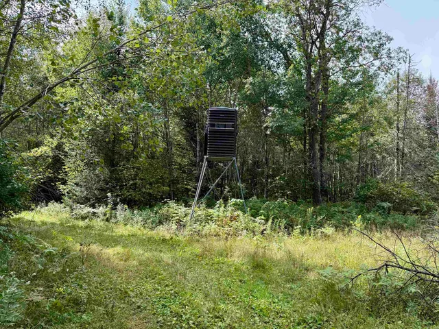 $2,000,000 | 11392 N Pine, Tripoli, WI 54564