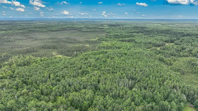 $2,000,000 | 11392 N Pine, Tripoli, WI 54564