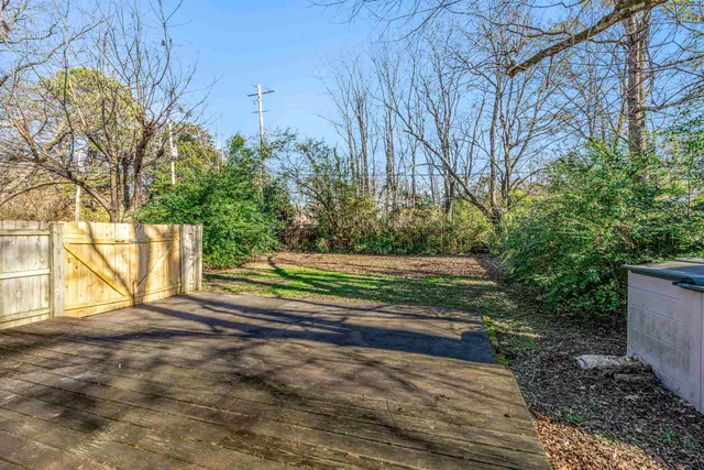 a view of backyard with green space