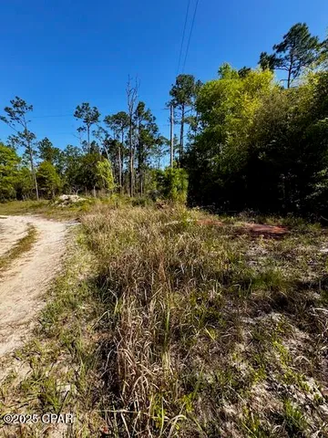$65,000 | Tbd Akers Trail, Chipley, FL 32428
