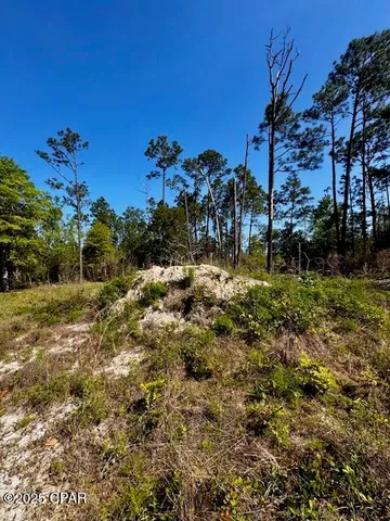 $65,000 | Tbd Akers Trail, Chipley, FL 32428