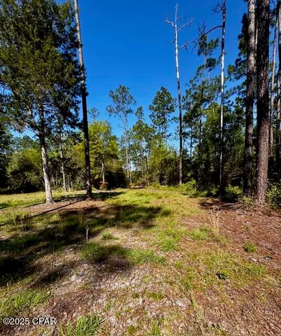 $65,000 | Tbd Akers Trail, Chipley, FL 32428