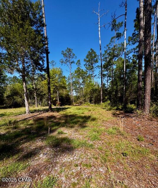 Tbd Akers Trail Chipley, FL 32428 - Photo 4 of 11