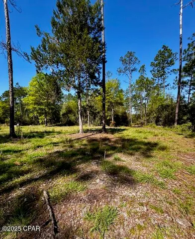 $65,000 | Tbd Akers Trail, Chipley, FL 32428