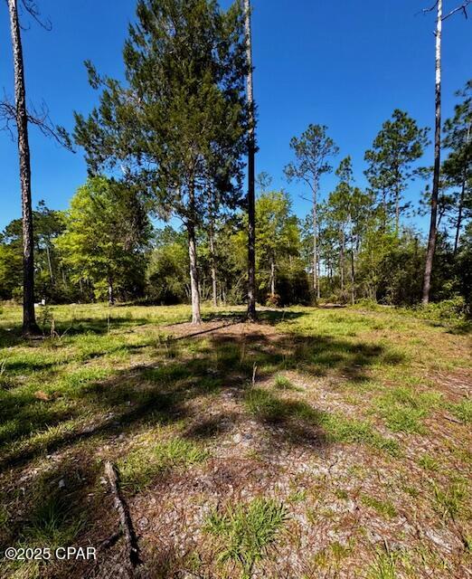 Tbd Akers Trail Chipley, FL 32428 - Photo 5 of 11