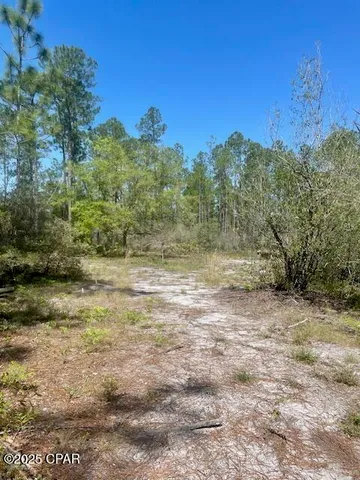 $65,000 | Tbd Akers Trail, Chipley, FL 32428