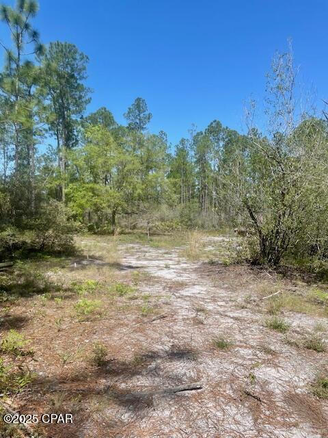Tbd Akers Trail Chipley, FL 32428 - Photo 7 of 11