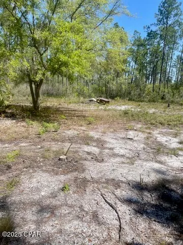 $65,000 | Tbd Akers Trail, Chipley, FL 32428