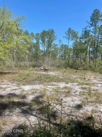 $65,000 | Tbd Akers Trail, Chipley, FL 32428