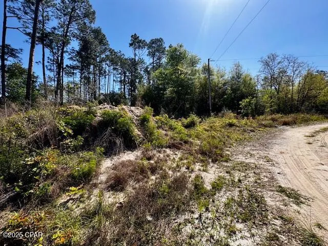 $65,000 | Tbd Akers Trail, Chipley, FL 32428