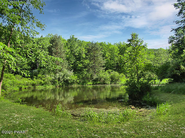 Sherman Hill Road Honesdale, PA 18431 - Photo 3 of 12