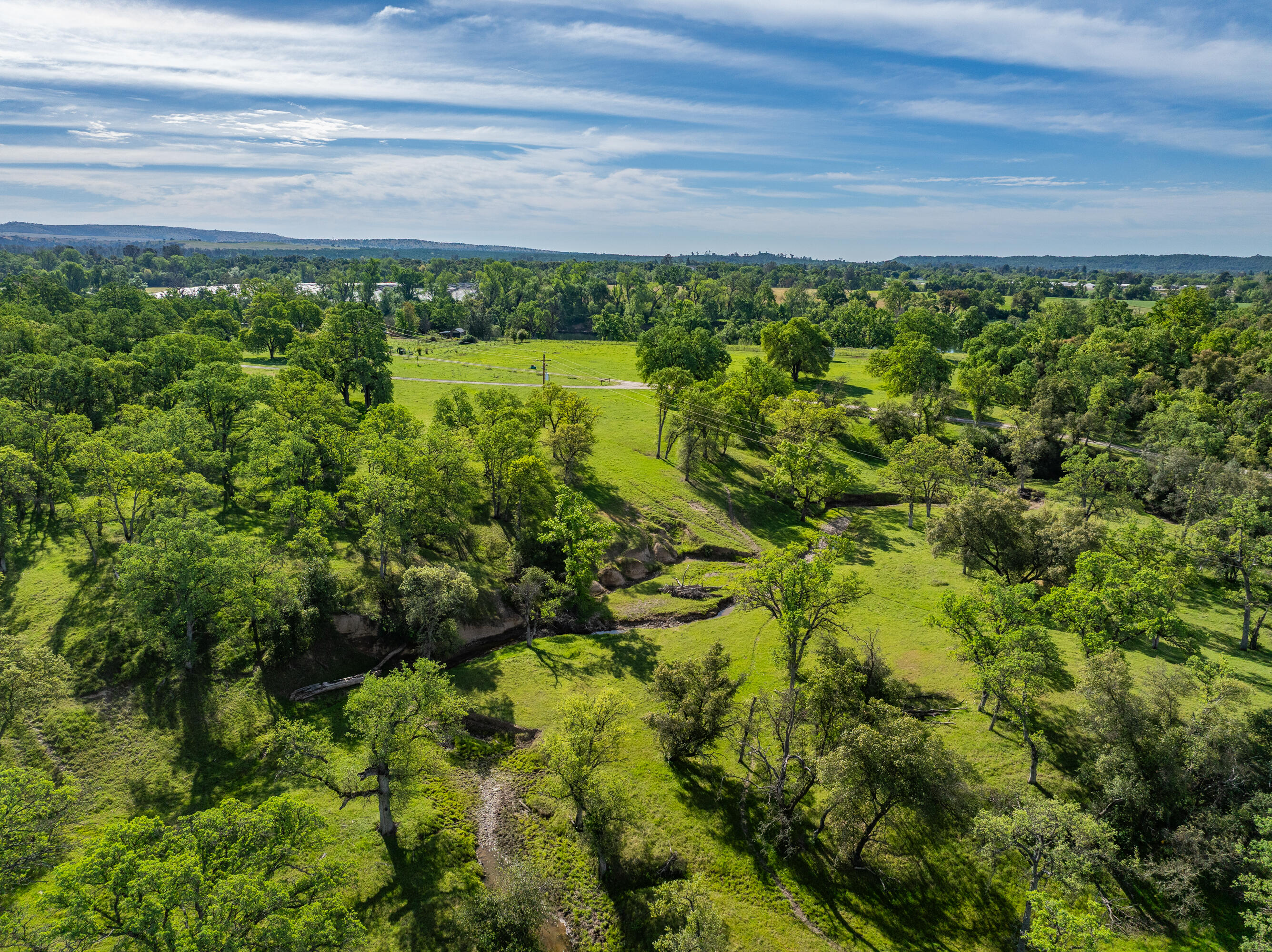 22090 Forbes Way Red Bluff, CA 96080 - Photo 15 of 28 a view of a yard