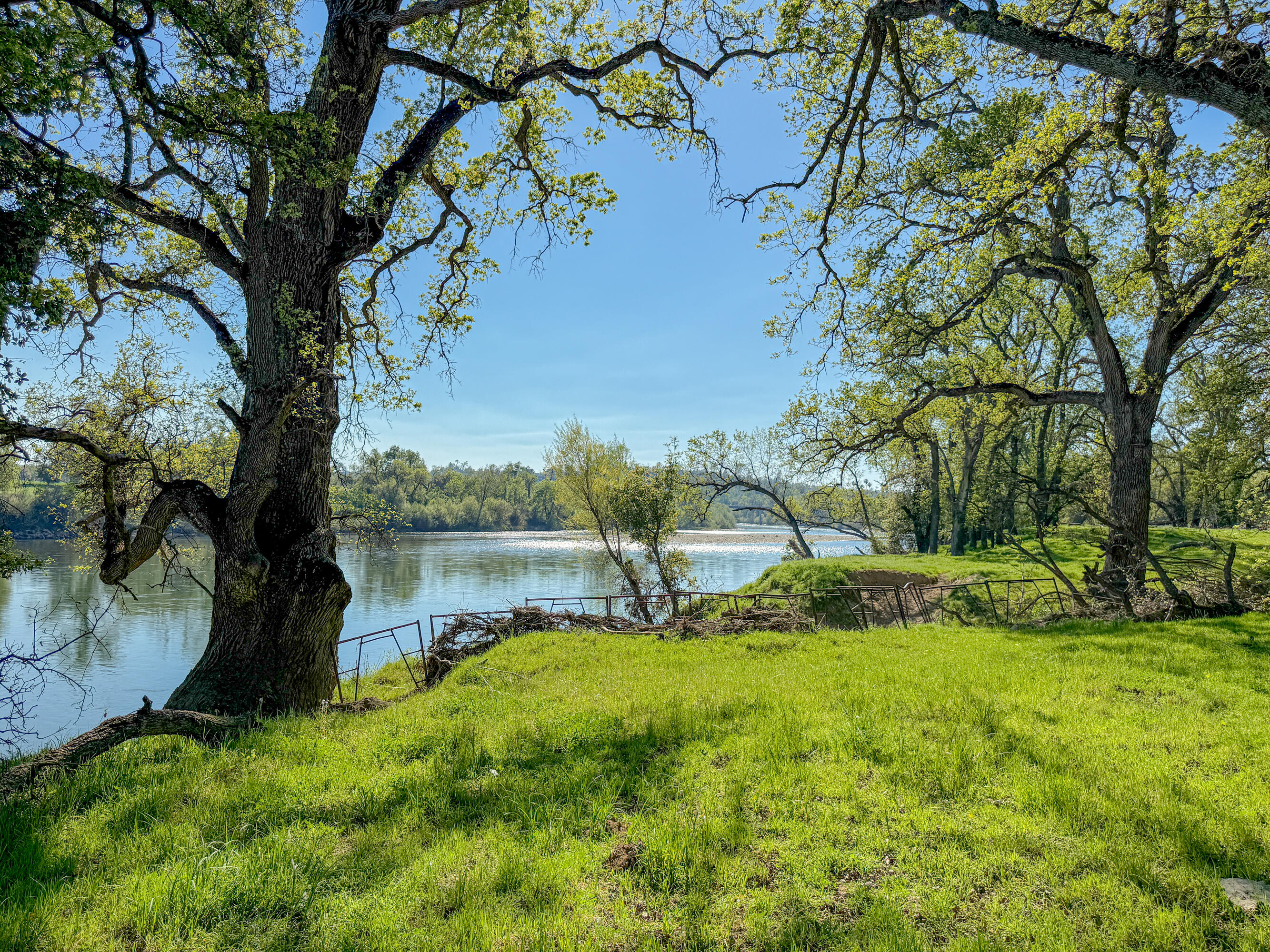22090 Forbes Way Red Bluff, CA 96080 - Photo 7 of 28 a backyard of a house with lots of green space