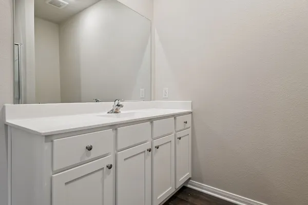 a bathroom with a sink vanity and a mirror