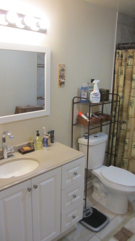 62 Lippincott Road Fox Lake, IL 60020 - Photo 12 of 25