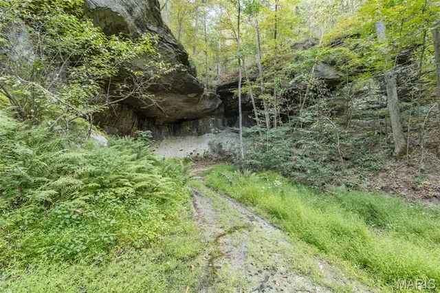 $7,000,000 | 4264 Cinque Terre House Springs, House Springs, MO 63051