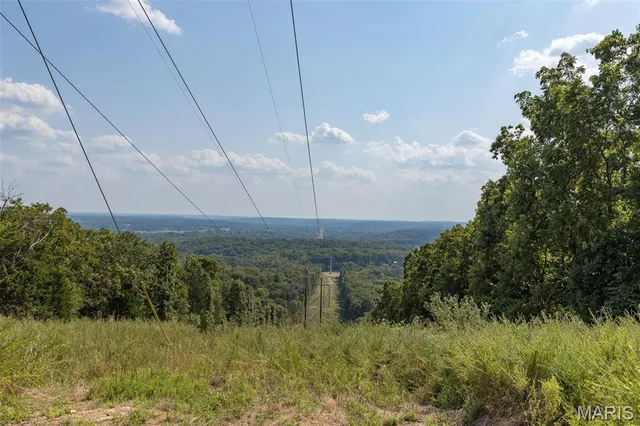 $7,000,000 | 4264 Cinque Terre House Springs, House Springs, MO 63051