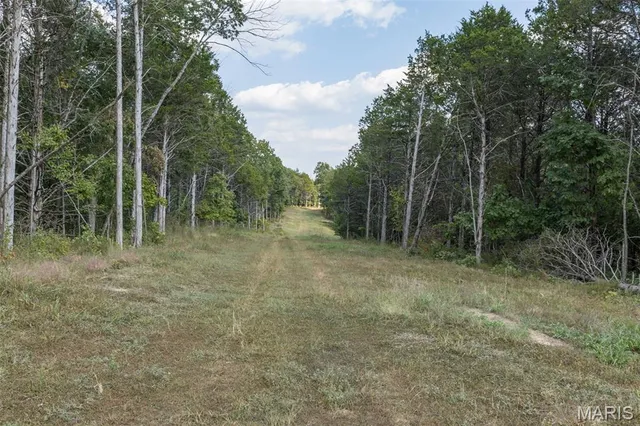 $7,000,000 | 4264 Cinque Terre House Springs, House Springs, MO 63051