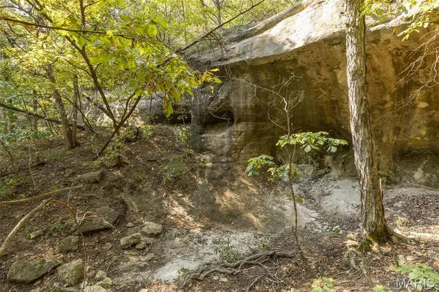 $7,000,000 | 4264 Cinque Terre House Springs, House Springs, MO 63051