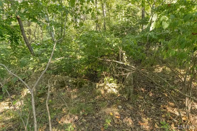 $7,000,000 | 4264 Cinque Terre House Springs, House Springs, MO 63051