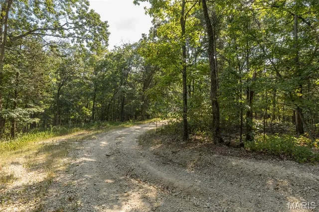 $7,000,000 | 4264 Cinque Terre House Springs, House Springs, MO 63051