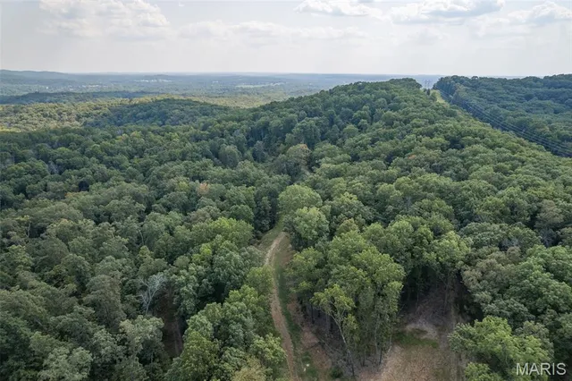 $7,000,000 | 4264 Cinque Terre House Springs, House Springs, MO 63051