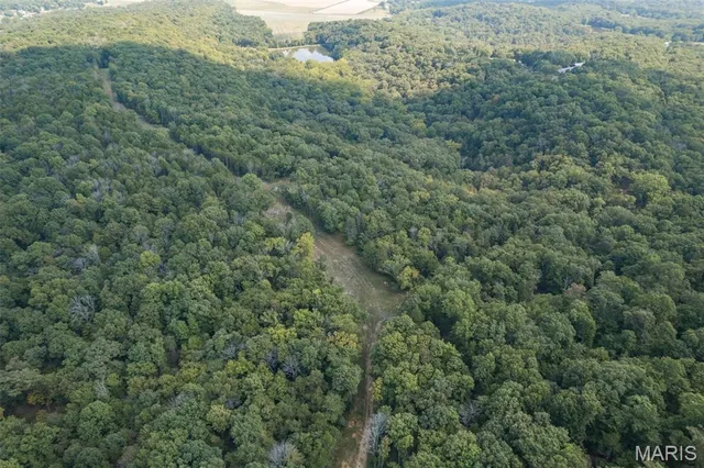 $7,000,000 | 4264 Cinque Terre House Springs, House Springs, MO 63051