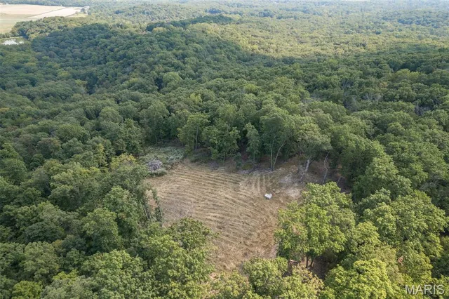 $7,000,000 | 4264 Cinque Terre House Springs, House Springs, MO 63051