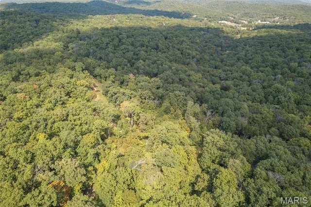 $7,000,000 | 4264 Cinque Terre House Springs, House Springs, MO 63051