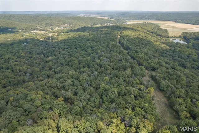 $7,000,000 | 4264 Cinque Terre House Springs, House Springs, MO 63051