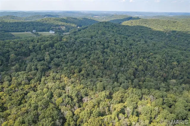 $7,000,000 | 4264 Cinque Terre House Springs, House Springs, MO 63051