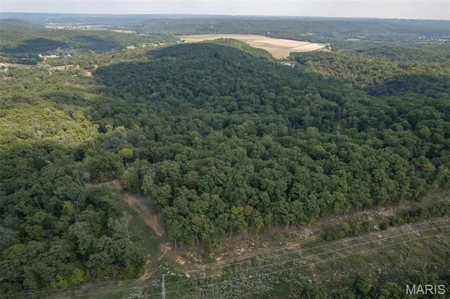 $7,000,000 | 4264 Cinque Terre House Springs, House Springs, MO 63051