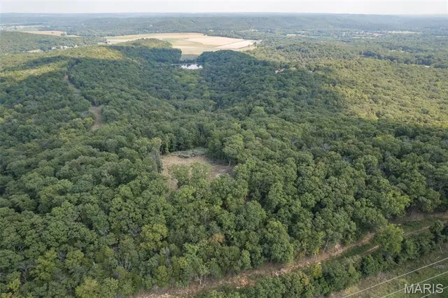 $7,000,000 | 4264 Cinque Terre House Springs, House Springs, MO 63051