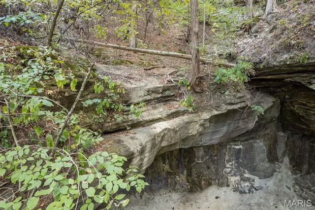 $7,000,000 | 4264 Cinque Terre House Springs, House Springs, MO 63051