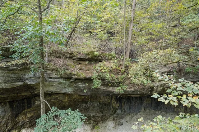 $7,000,000 | 4264 Cinque Terre House Springs, House Springs, MO 63051