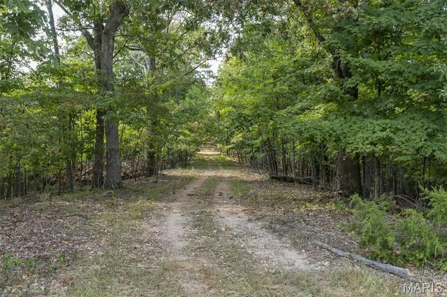 $7,000,000 | 4264 Cinque Terre House Springs, House Springs, MO 63051