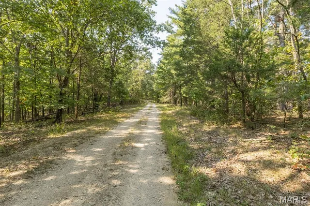 $7,000,000 | 4264 Cinque Terre House Springs, House Springs, MO 63051