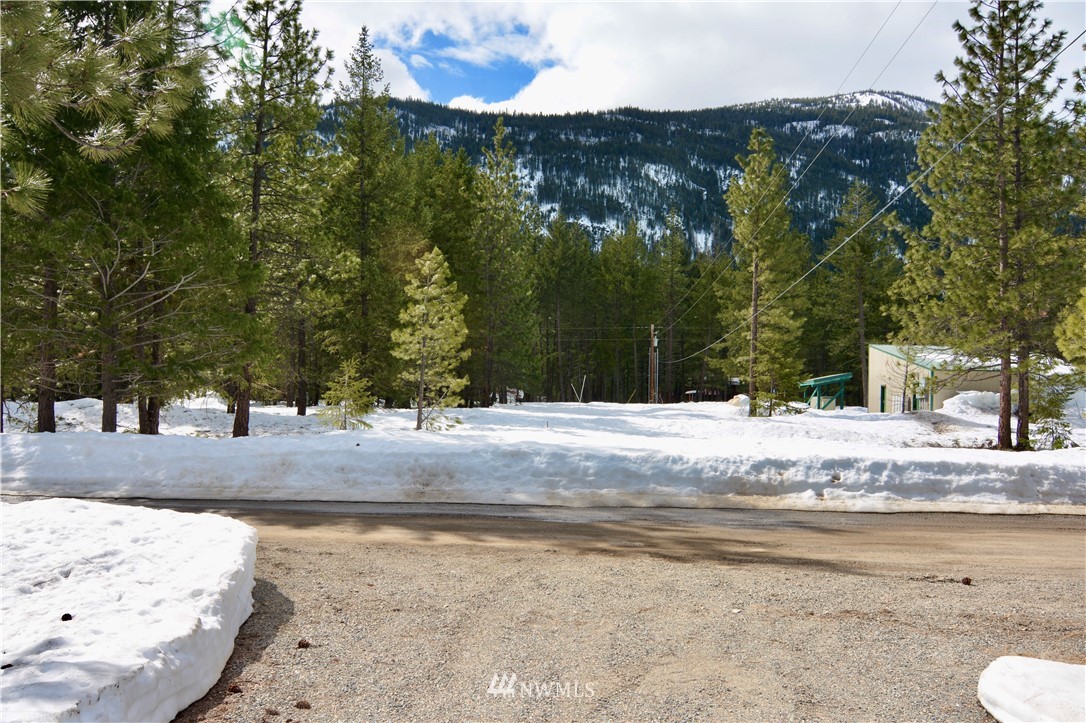 8 Littell Road Mazama, WA 98833 - Photo 15 of 25 Gallery Image 15