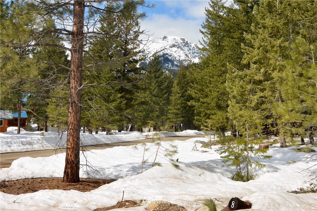 8 Littell Road Mazama, WA 98833 - Photo 17 of 25 Gallery Image 17