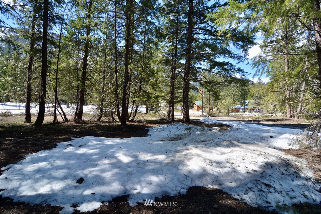 8 Littell Road Mazama, WA 98833 - Photo 18 of 25 Gallery Image 18