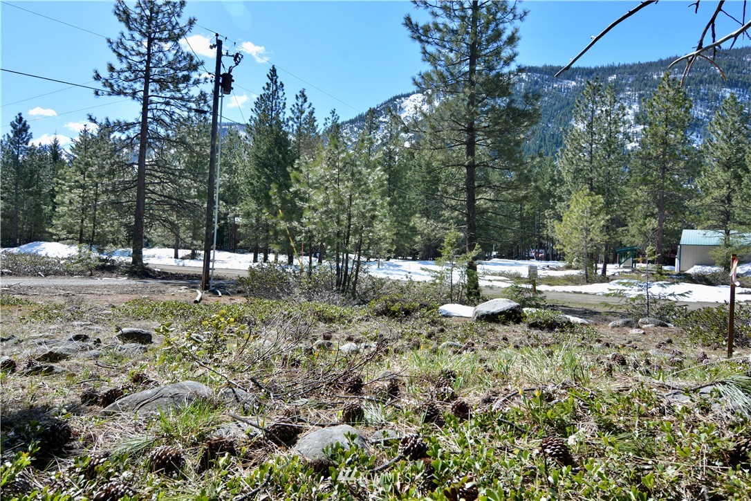 8 Littell Road Mazama, WA 98833 - Photo 19 of 25 Gallery Image 19