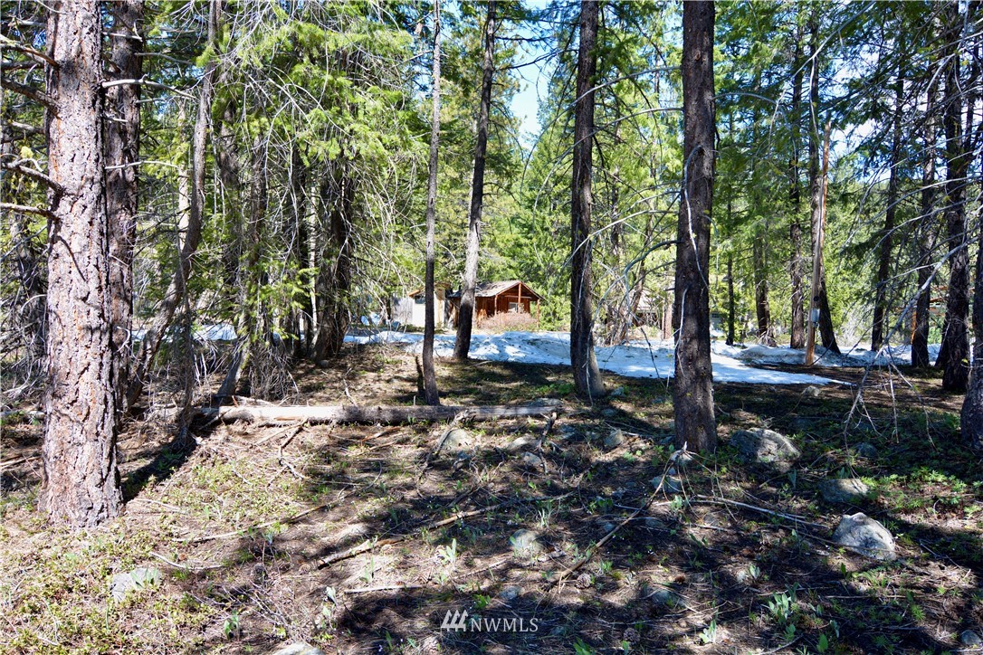 8 Littell Road Mazama, WA 98833 - Photo 22 of 25 Gallery Image 22