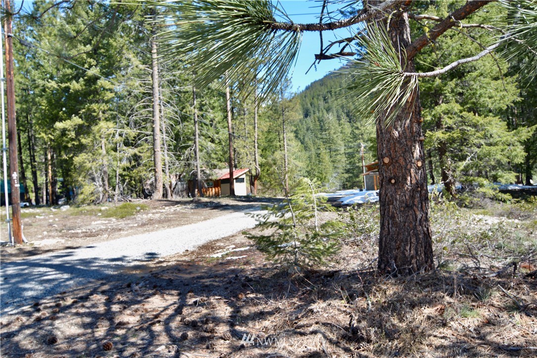 8 Littell Road Mazama, WA 98833 - Photo 4 of 25 Gallery Image 4