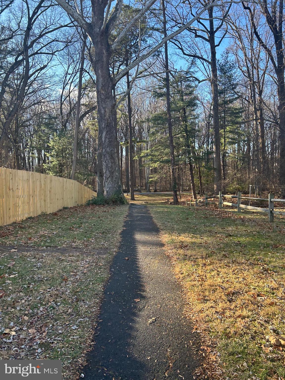 905 Benson Terrace Silver Spring, MD 20901 - Photo 26 of 29