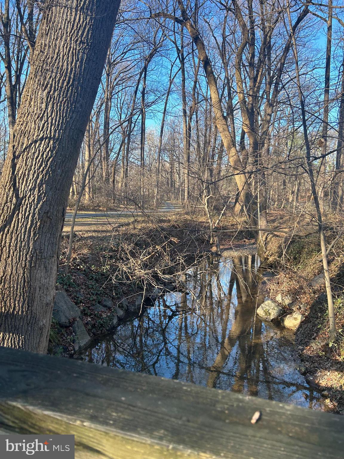 905 Benson Terrace Silver Spring, MD 20901 - Photo 28 of 29