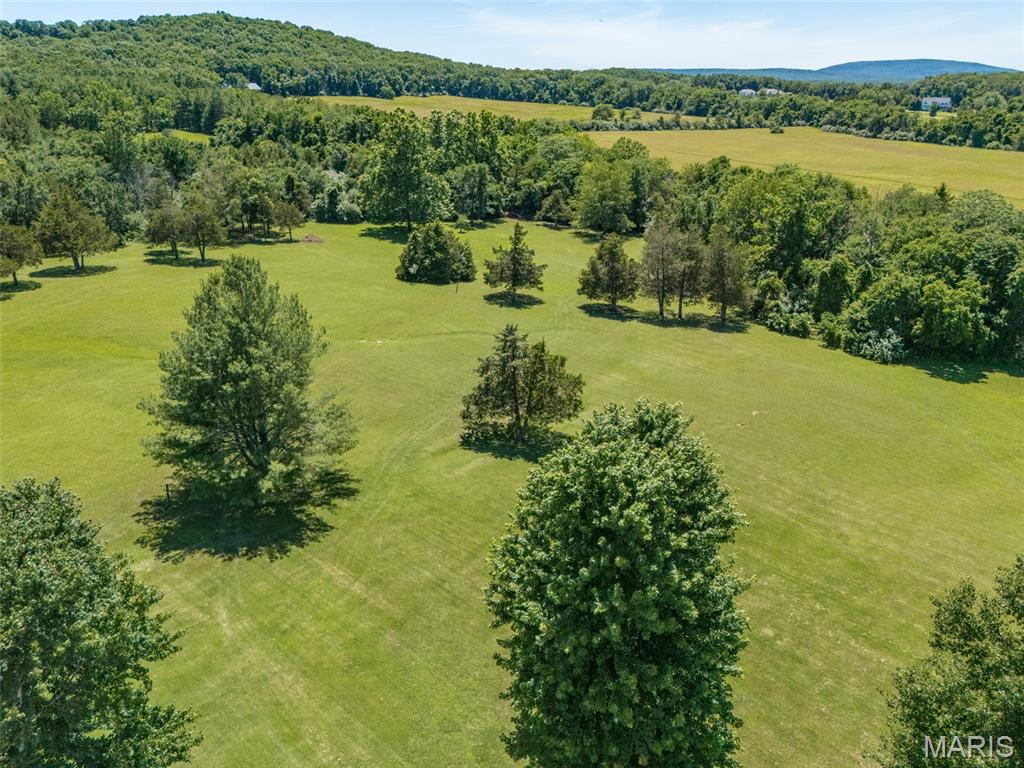 210 Buzzard Rock Road Farmington, MO 63640 - Photo 60 of 64