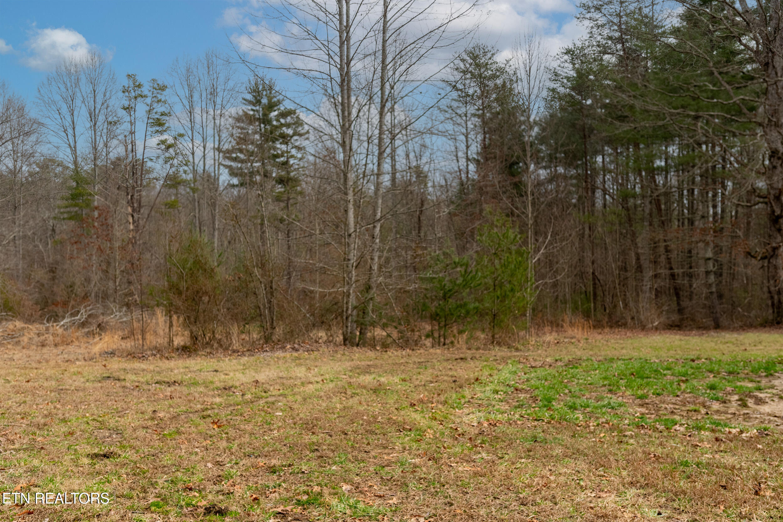 1567 Twin Bridge Road Deer Lodge, TN 37726 - Photo 22 of 26 23_1567 twin bridge 007